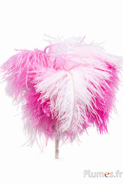 Pluim struisvogel - 8 veren, hoogte 25 cm - roze-geschakeerd